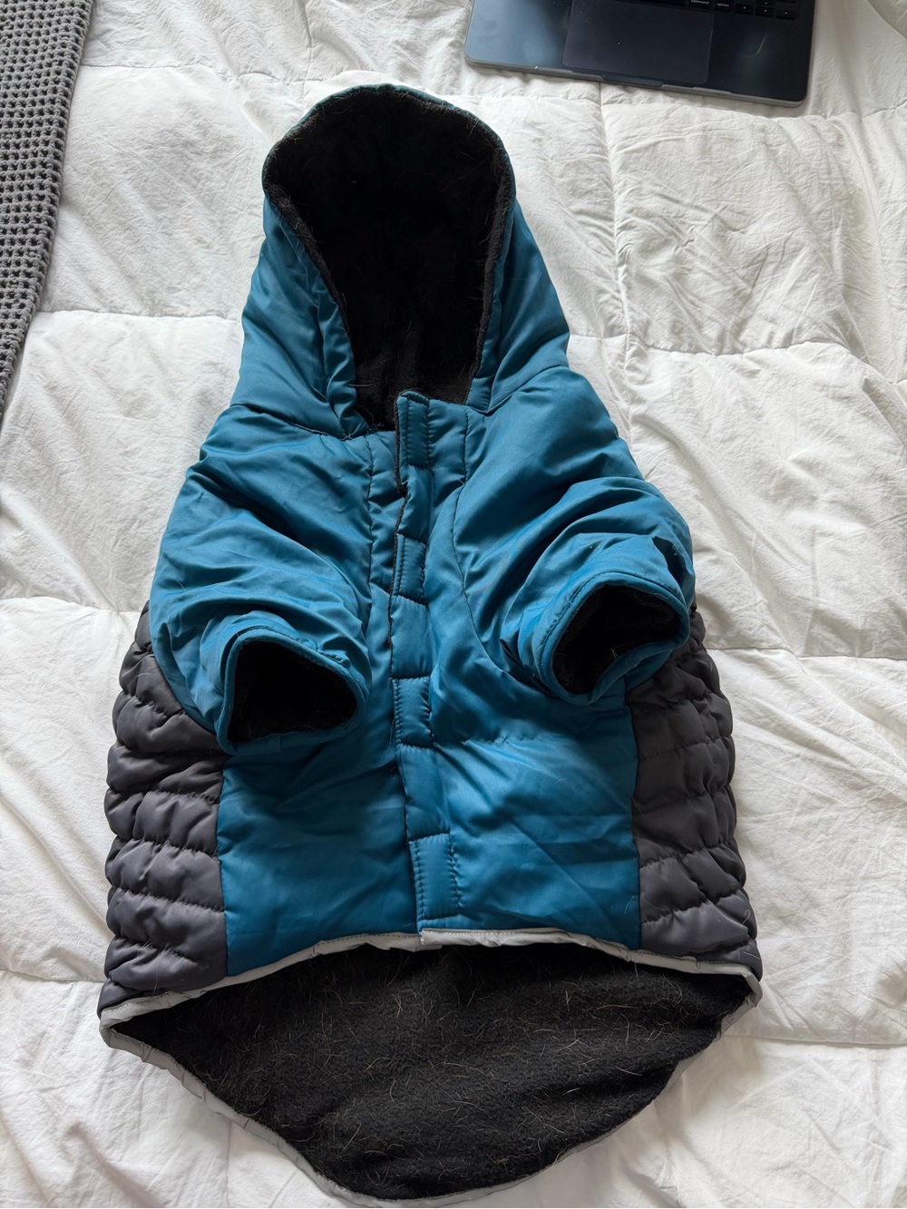KONG  Teal & Gray Puffer Dog Coat with Hood - Picture 2 of 2